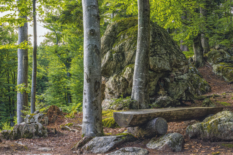 BayerischerWald